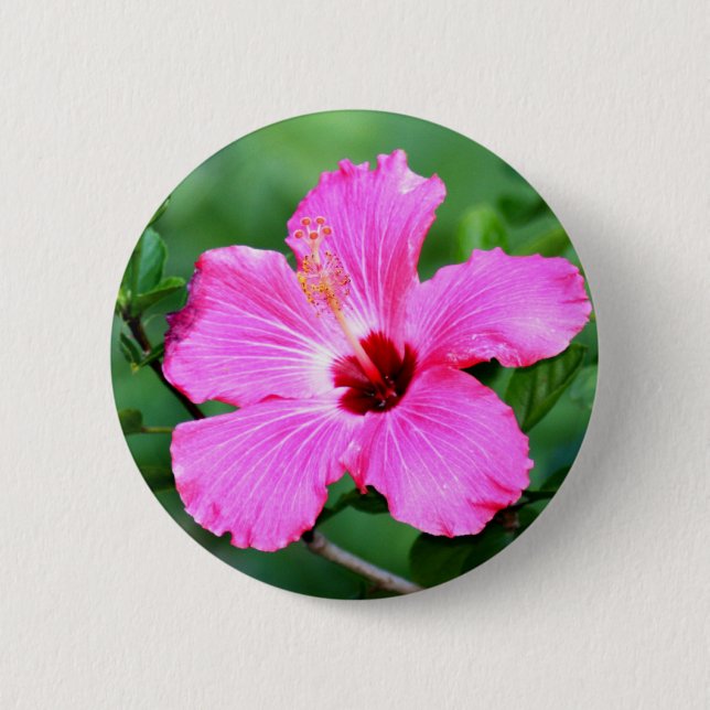 Hibiscus Button (Front)
