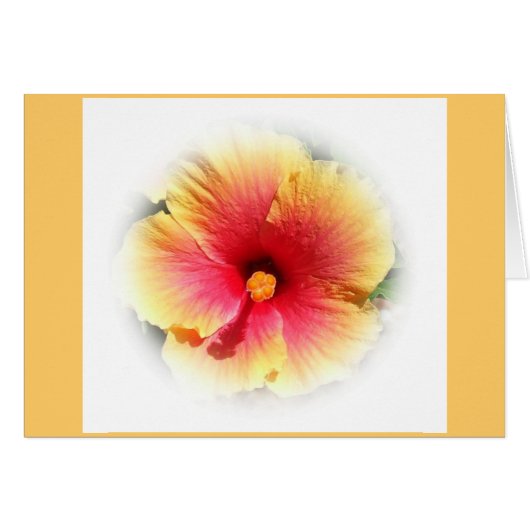 Hibiscus Cards (Front Horizontal)