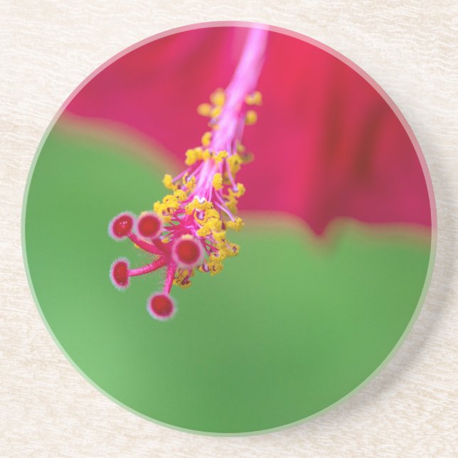 hibiscus coaster (Front)