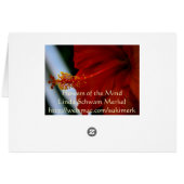 Hibiscus Delicious Cards (Back Horizontal)