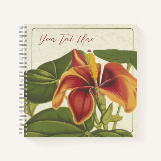 Hibiscus Elatus: A Tropical Muse Notebook (Front)