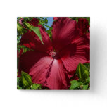 Hibiscus Flower and Blue Sky Button