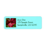 Hibiscus Flower and Blue Sky Label