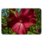 Hibiscus Flower and Blue Sky Magnet