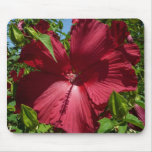 Hibiscus Flower and Blue Sky Mouse Pad