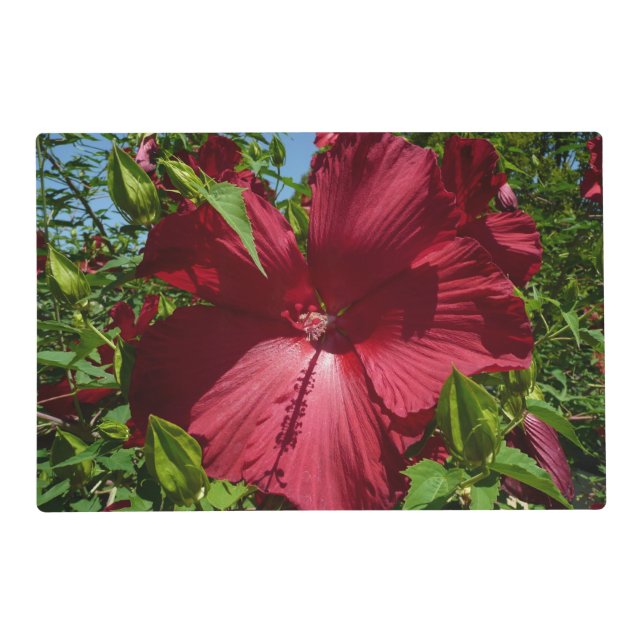 Hibiscus Flower and Blue Sky Placemat (Front)