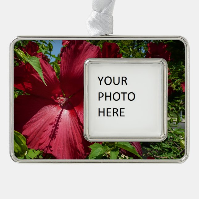 Hibiscus Flower and Blue Sky Silver Plated Framed Ornament (Front)