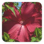 Hibiscus Flower and Blue Sky Square Sticker