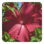 Hibiscus Flower and Blue Sky Square Sticker