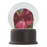 Hibiscus Flower and Blue Sky Summer Nature Photo Snow Globe