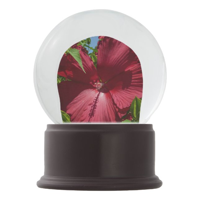 Hibiscus Flower and Blue Sky Summer Nature Photo Snow Globe (Back)