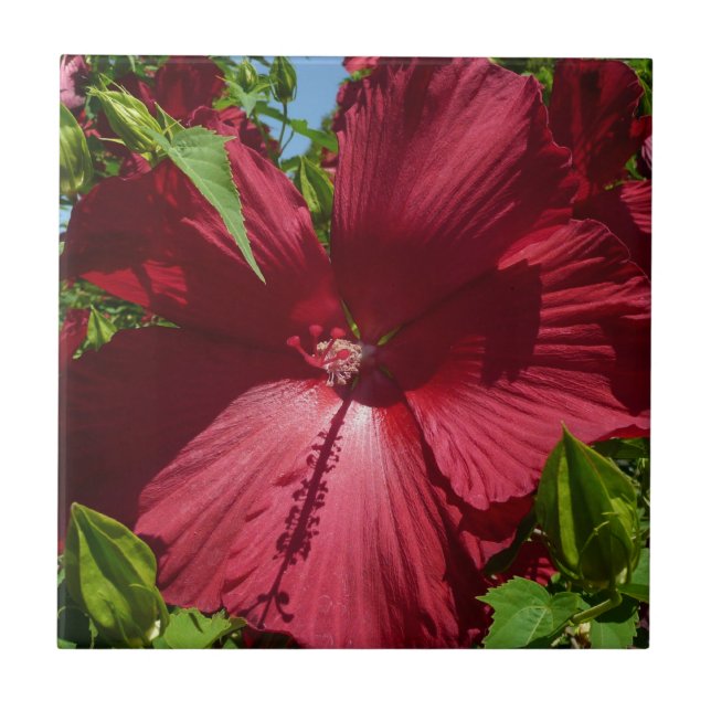 Hibiscus Flower and Blue Sky Tile (Front)
