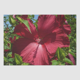 Hibiscus Flower and Blue Sky Tissue Paper
