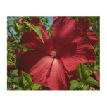 Hibiscus Flower and Blue Sky Wood Wall Decor
