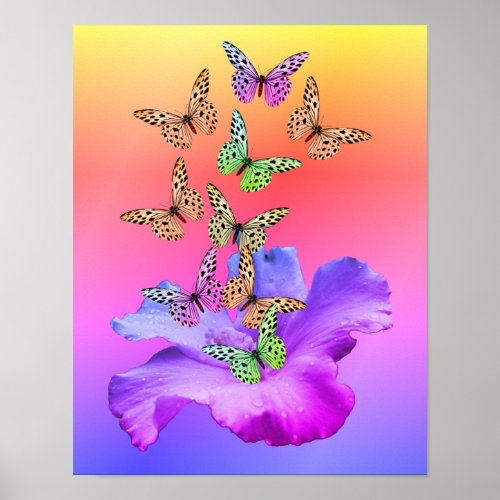 Hibiscus Flower And Colorful Butterflies  Poster
