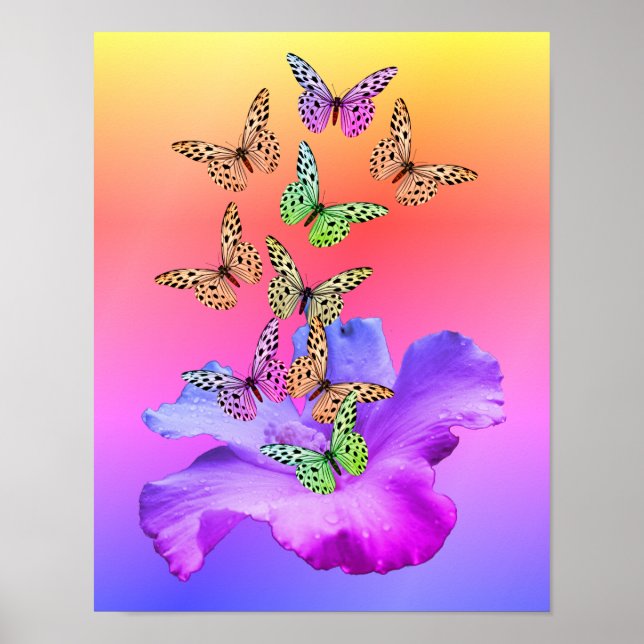 Hibiscus Flower And Colorful Butterflies  Poster (Front)
