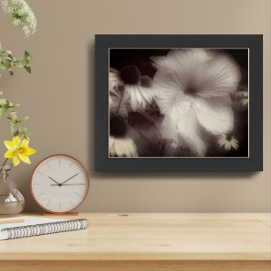 Hibiscus Flower Black And White Tinted Framed Framed Art