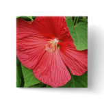 Hibiscus Flower Bright Magenta Floral Button