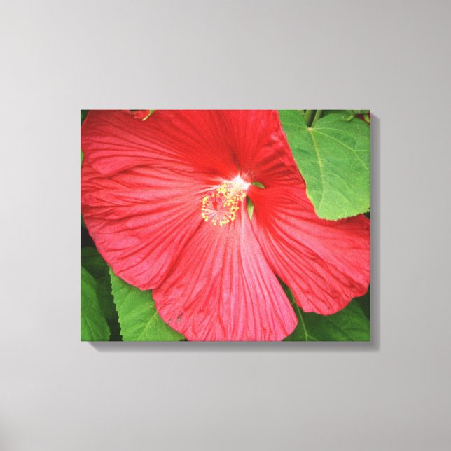 Hibiscus Flower Bright Magenta Floral Canvas Print (Front)