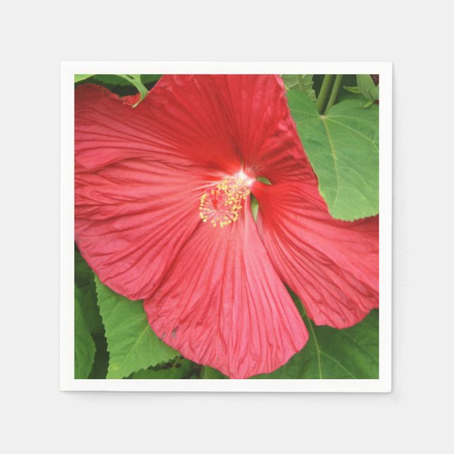 Hibiscus Flower Bright Magenta Floral Paper Napkins (Front)