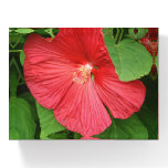Hibiscus Flower Bright Magenta Floral Paperweight