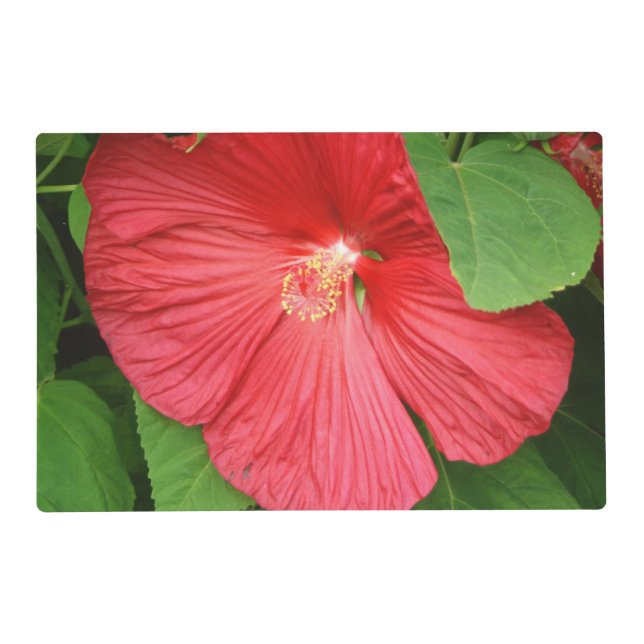 Hibiscus Flower Bright Magenta Floral Placemat (Front)