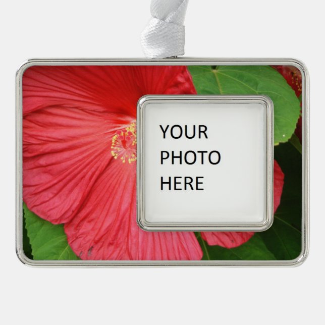 Hibiscus Flower Bright Magenta Floral Silver Plated Framed Ornament (Front)