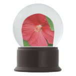 Hibiscus Flower Bright Magenta Floral Snow Globe