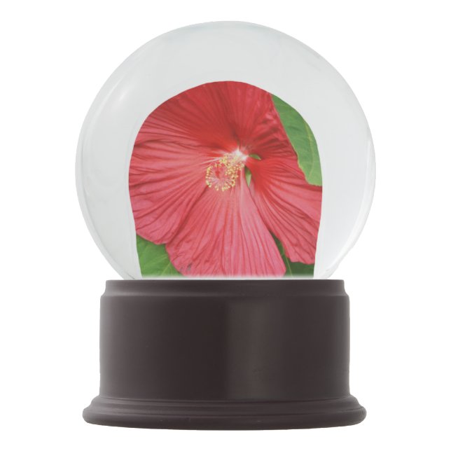 Hibiscus Flower Bright Magenta Floral Snow Globe (Back)