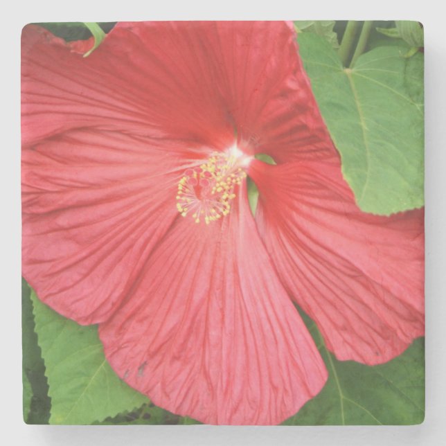 Hibiscus Flower Bright Magenta Floral Stone Coaster (Front)