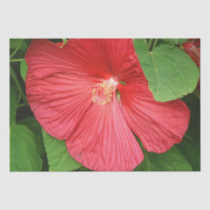 Hibiscus Flower Bright Magenta Floral Tissue Paper
