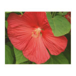 Hibiscus Flower Bright Magenta Floral Wood Wall Decor