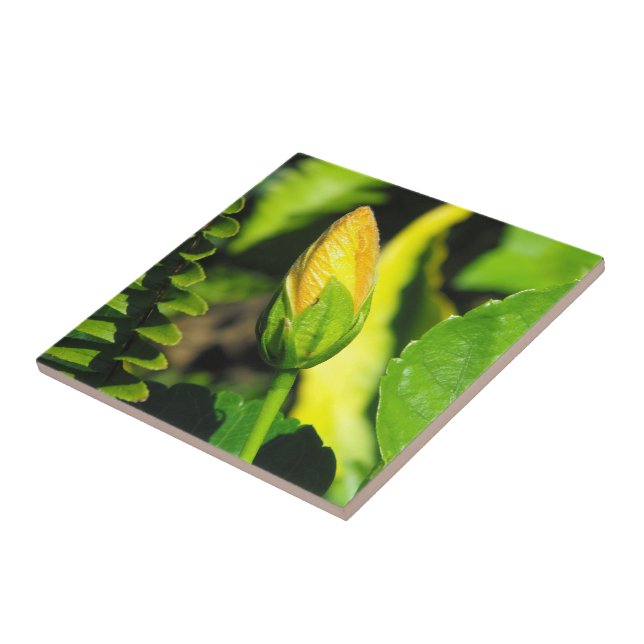 Hibiscus Flower Bud Ceramic Tile (Side)