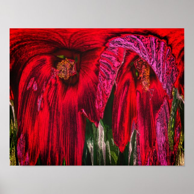 Hibiscus Flower Fantasy Floral Art Abstract  Poster (Front)