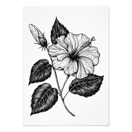 Hibiscus flower II Photo Print