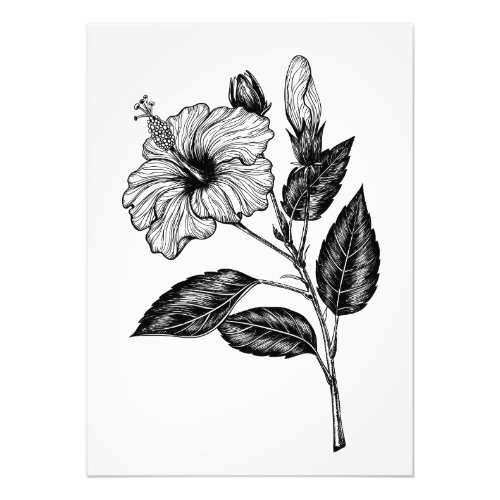 Hibiscus flower III Photo Print