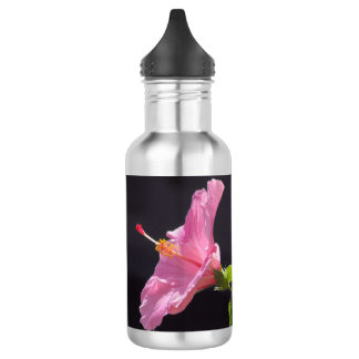 Hibiscus Flower in Profile Stainless Steel Water Bottle