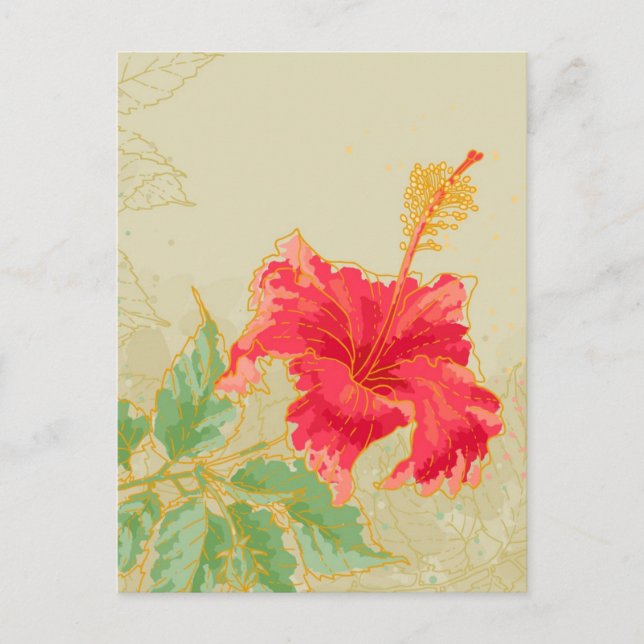 Hibiscus flower on toned background postcard (Front)
