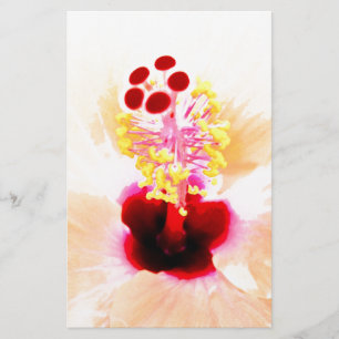 Hibiscus Flower Photograph Stationery