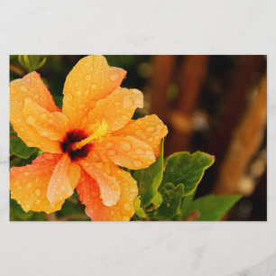 Hibiscus Flower Photography Stationery