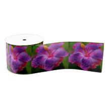 Hibiscus Flower Ribbon