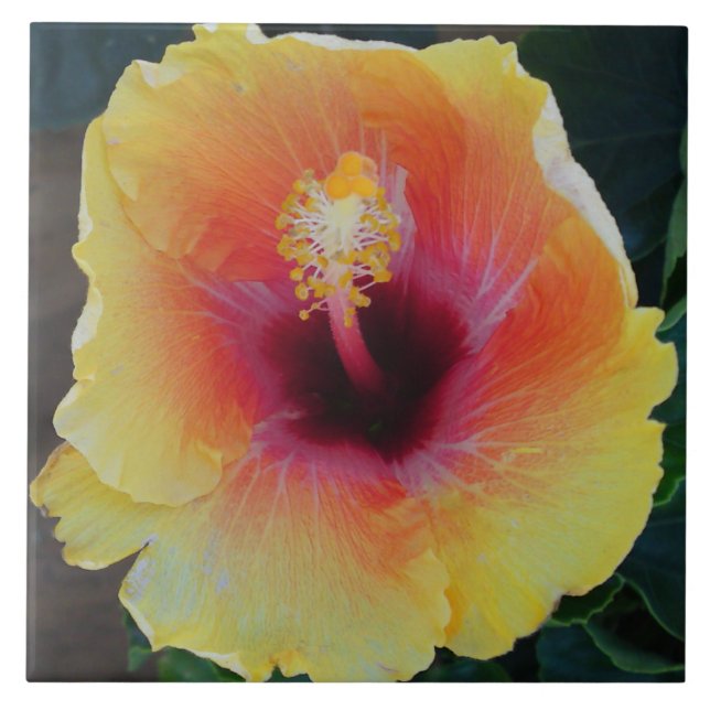 Hibiscus Flower Tile (Front)