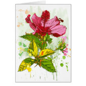 Hibiscus flower - watercolor paint (Front)