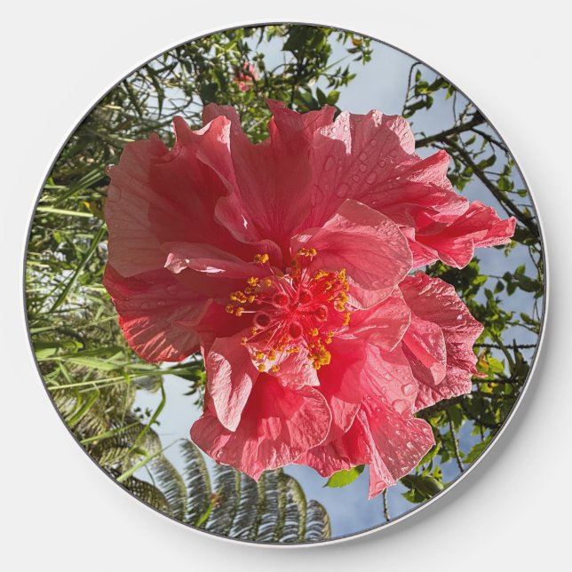 Hibiscus Flower Wireless Charger @3dudes1life (Front)