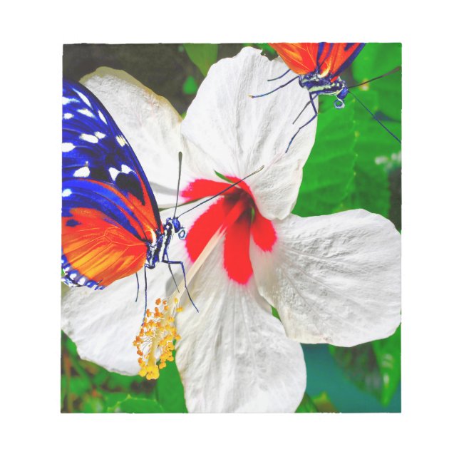 Hibiscus flower with 2 Tiger Longwing butterflies Notepad (Front)