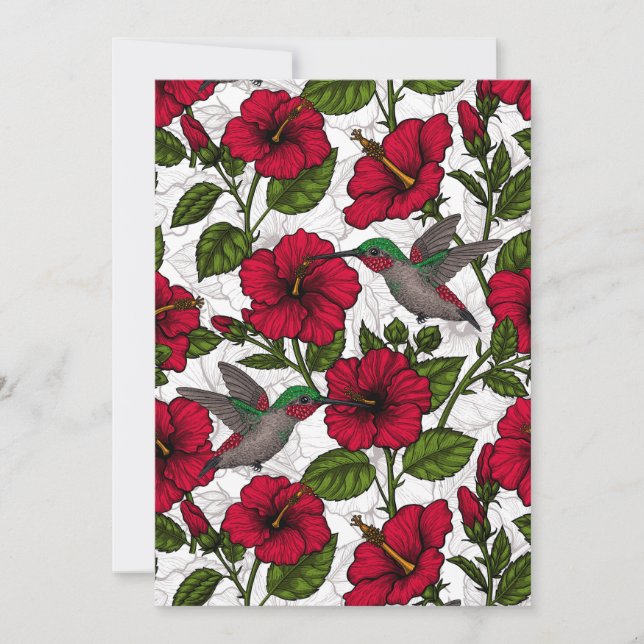 Hibiscus flowers and hummingbirds (Front)