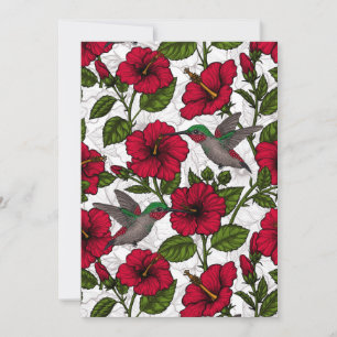 Hibiscus flowers and hummingbirds