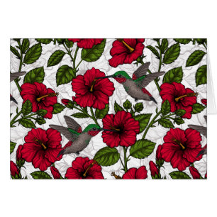 Hibiscus flowers and hummingbirds cards