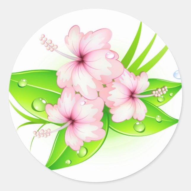 hibiscus flowers classic round sticker (Front)