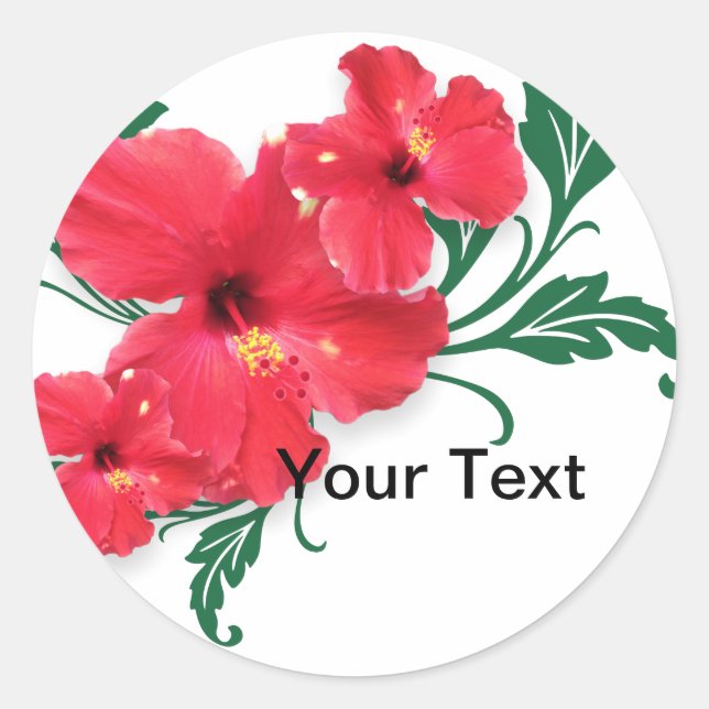 Hibiscus Flowers Classic Round Sticker (Front)